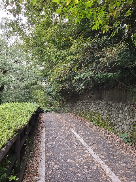 f:id:yon501xx:20201004210520j:image