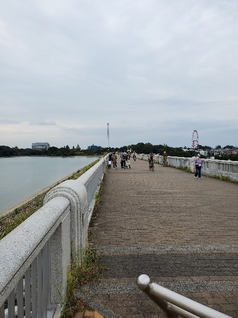 f:id:yon501xx:20201004210635j:image