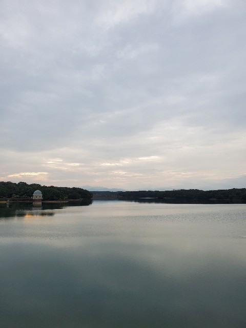 f:id:yon501xx:20201004210656j:image