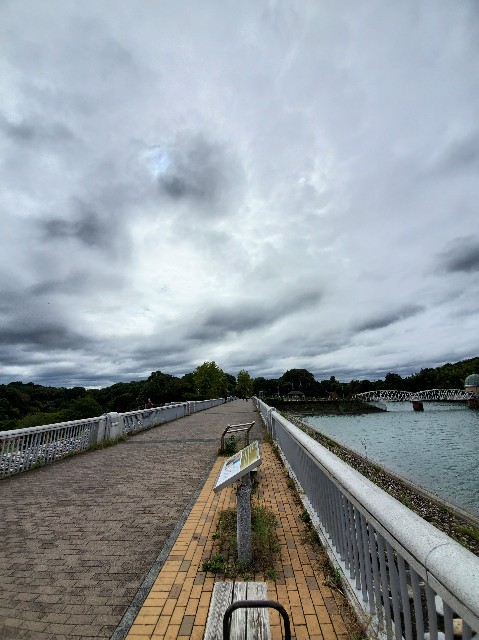f:id:yon501xx:20201011205830j:image f:id:yon501xx:20201011205830j:image