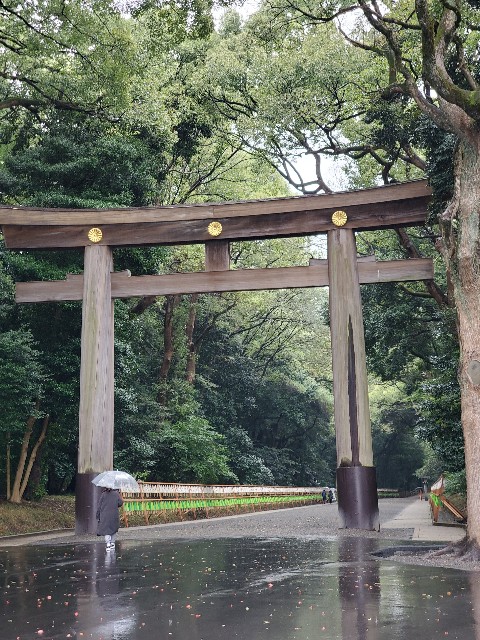 f:id:yon501xx:20201017215044j:image