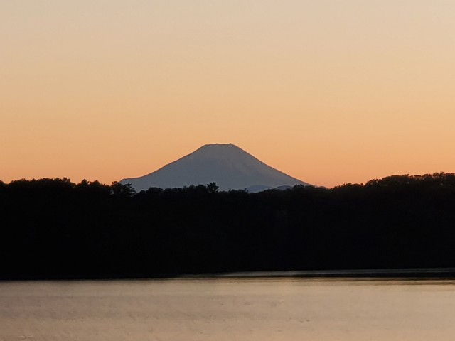 f:id:yon501xx:20201018232655j:image f:id:yon501xx:20201018232655j:image