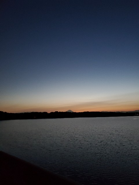 f:id:yon501xx:20201031212947j:image f:id:yon501xx:20201031212947j:image