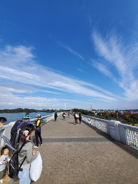 f:id:yon501xx:20201108171032j:image