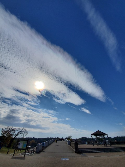 f:id:yon501xx:20201108171105j:image
