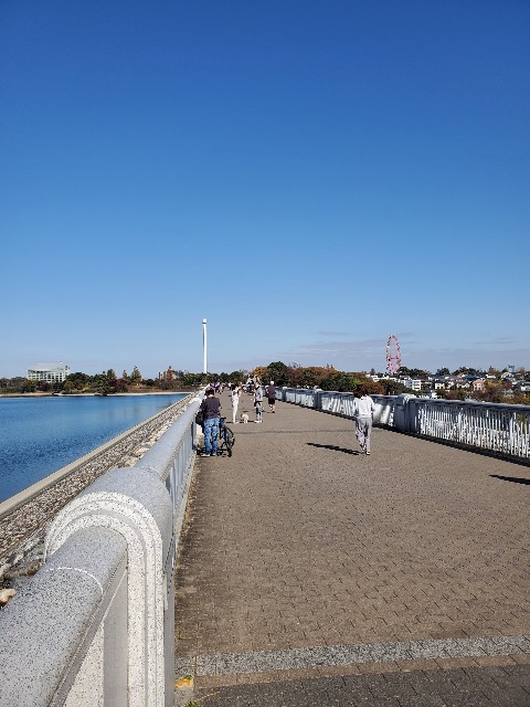 f:id:yon501xx:20201122181002j:image f:id:yon501xx:20201122181002j:image