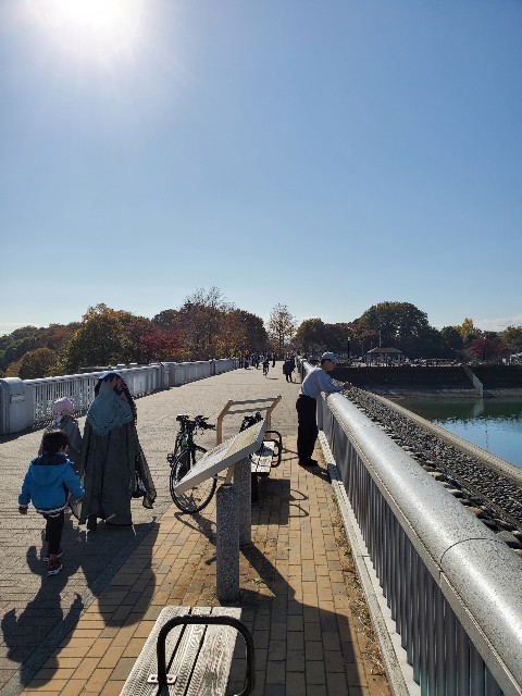 f:id:yon501xx:20201122181028j:image f:id:yon501xx:20201122181028j:image