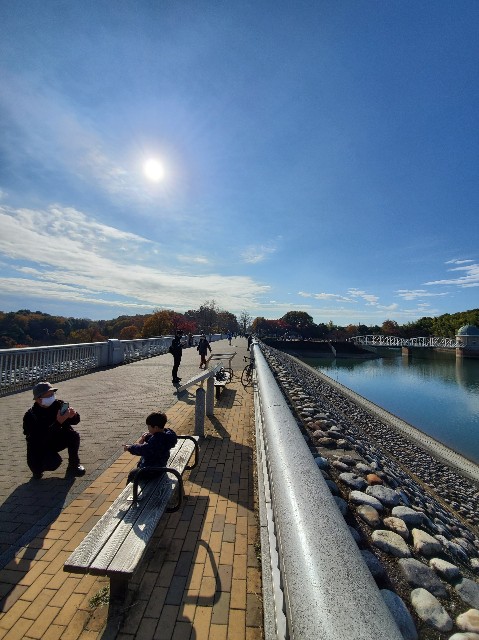 f:id:yon501xx:20201206210421j:image