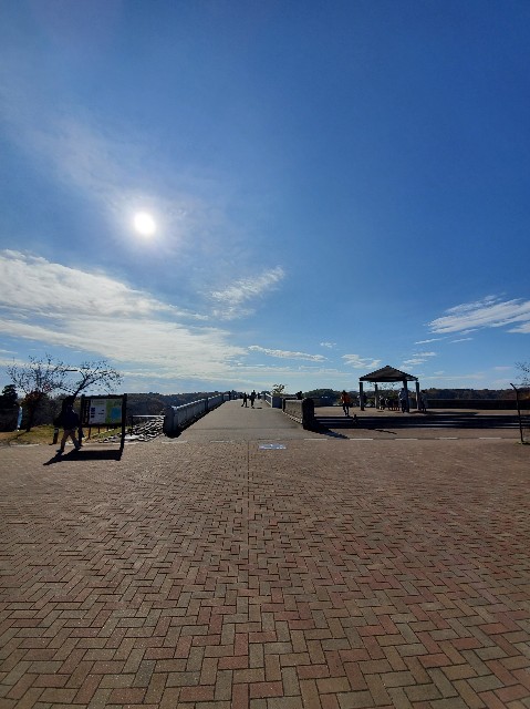 f:id:yon501xx:20201206210448j:image