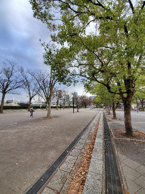 f:id:yon501xx:20201219212815j:image