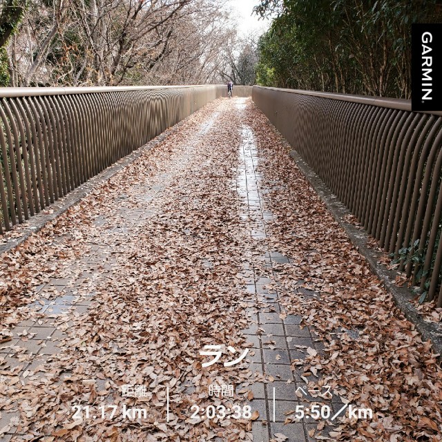 f:id:yon501xx:20201229212356j:image f:id:yon501xx:20201229212356j:image