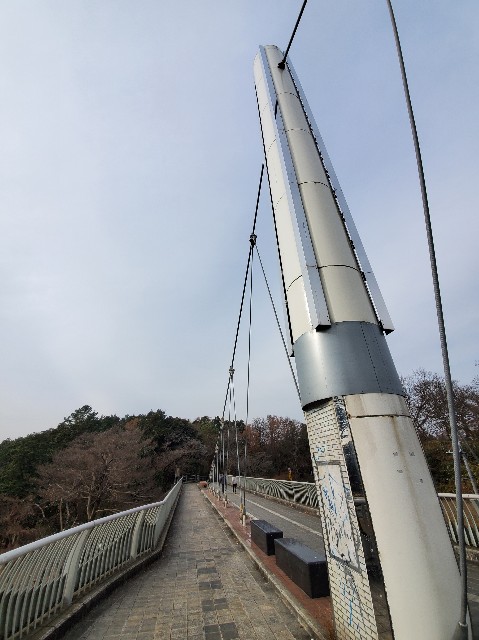 f:id:yon501xx:20201229212444j:image f:id:yon501xx:20201229212444j:image