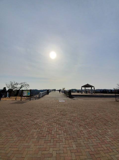 f:id:yon501xx:20201229212538j:image f:id:yon501xx:20201229212538j:image
