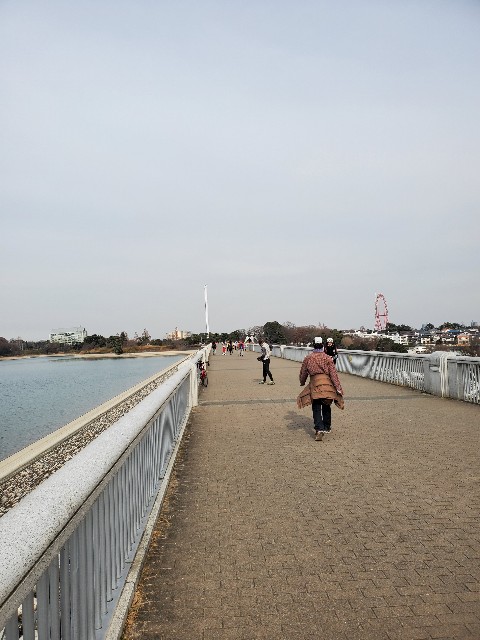 f:id:yon501xx:20201229212557j:image f:id:yon501xx:20201229212557j:image