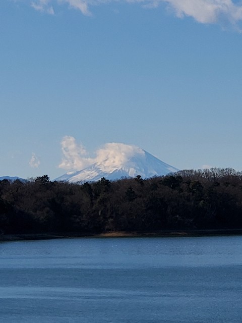 f:id:yon501xx:20201231172628j:image f:id:yon501xx:20201231172628j:image