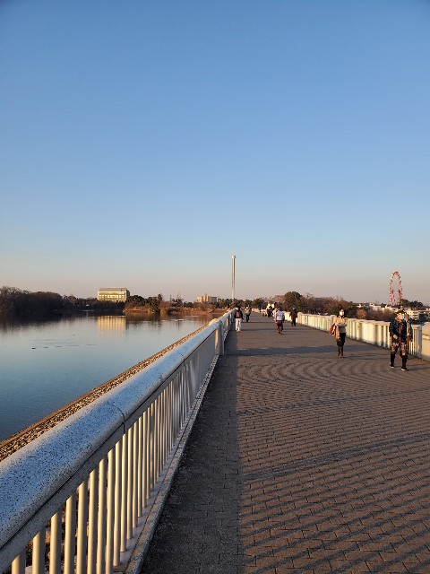 f:id:yon501xx:20210206232545j:image