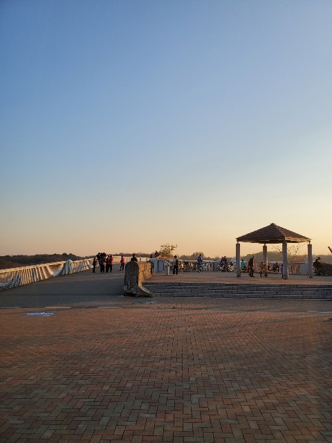 f:id:yon501xx:20210206232609j:image