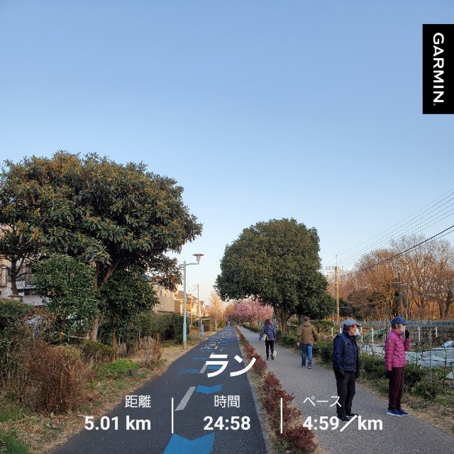 f:id:yon501xx:20210227233757j:image