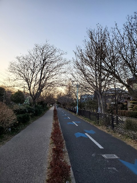 f:id:yon501xx:20210227233837j:image