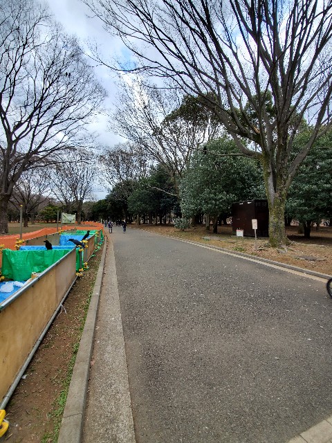 f:id:yon501xx:20210320234616j:image