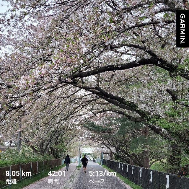 f:id:yon501xx:20210404002220j:image