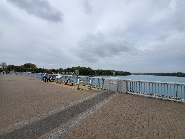 f:id:yon501xx:20210404211904j:image