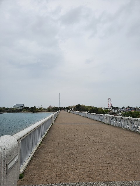 f:id:yon501xx:20210404212211j:image