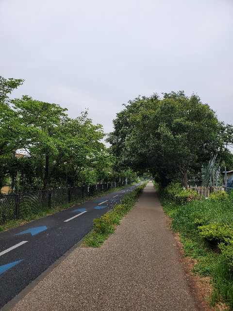 f:id:yon501xx:20210507220710j:image