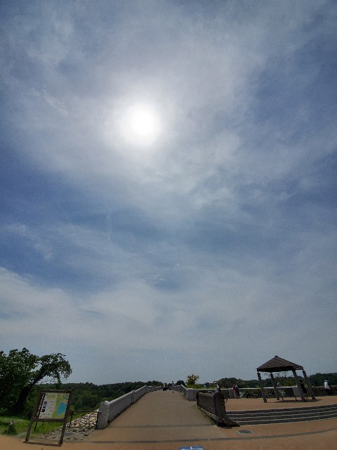 f:id:yon501xx:20210508223536j:image