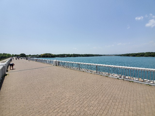 f:id:yon501xx:20210509184142j:image
