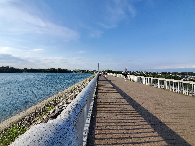 f:id:yon501xx:20210515215409j:image