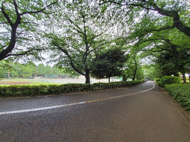 f:id:yon501xx:20210516233043j:image f:id:yon501xx:20210516233043j:image