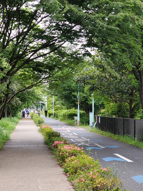 f:id:yon501xx:20210521233259j:image