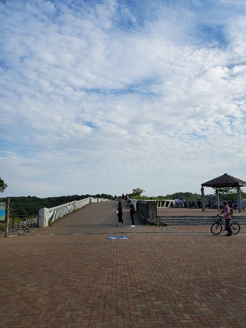 f:id:yon501xx:20210612215357j:image f:id:yon501xx:20210612215357j:image