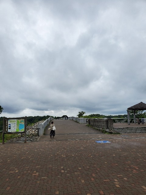 f:id:yon501xx:20210619233704j:image