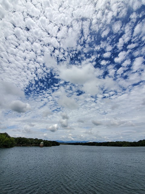f:id:yon501xx:20210620180317j:image