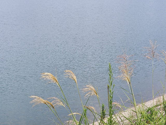 f:id:yon501xx:20210711215942j:image