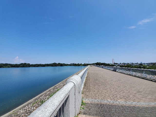 f:id:yon501xx:20210801211823j:image