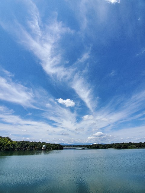 f:id:yon501xx:20210811164523j:image f:id:yon501xx:20210811164523j:image