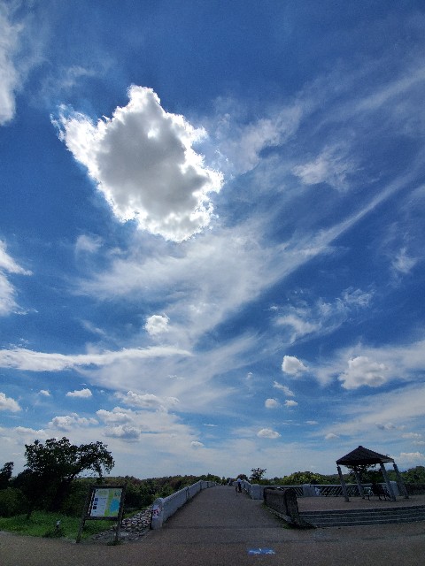 f:id:yon501xx:20210811164624j:image f:id:yon501xx:20210811164624j:image