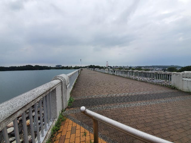 f:id:yon501xx:20210812220541j:image f:id:yon501xx:20210812220541j:image