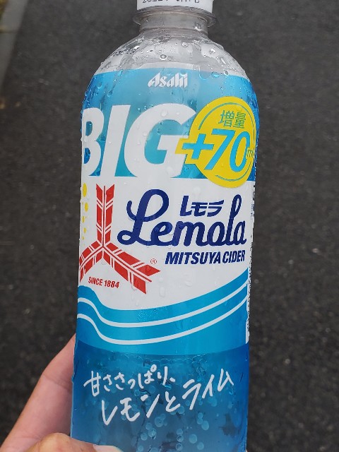 f:id:yon501xx:20210812220626j:image f:id:yon501xx:20210812220626j:image
