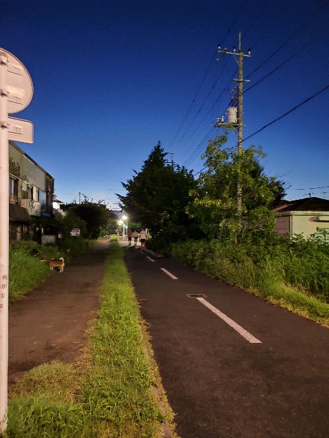 f:id:yon501xx:20210818212822j:image