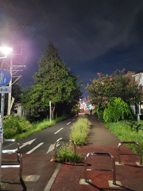 f:id:yon501xx:20210819233401j:image