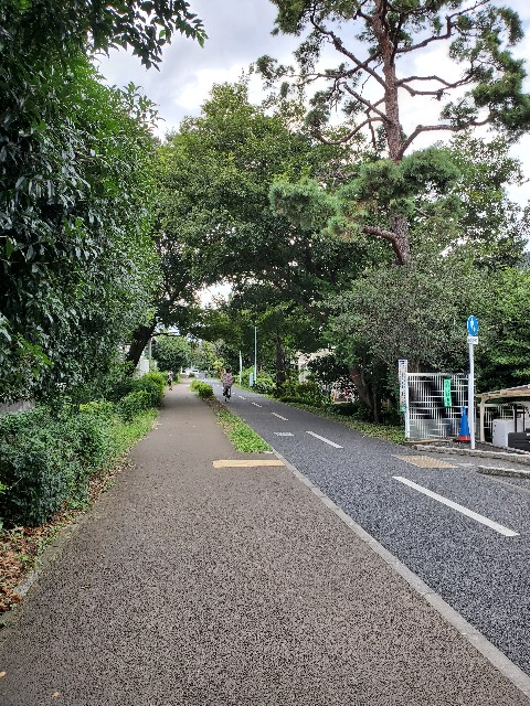 f:id:yon501xx:20210821204552j:image
