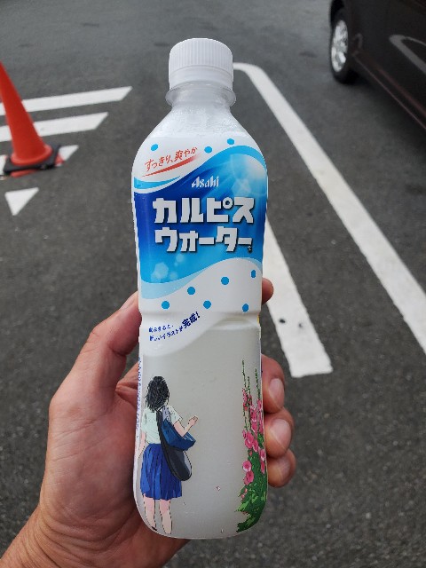 f:id:yon501xx:20210821204628j:image
