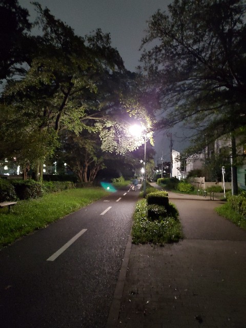 f:id:yon501xx:20210908225833j:image