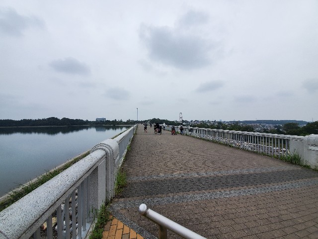 f:id:yon501xx:20210912210309j:image