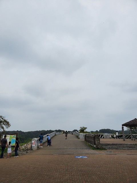 f:id:yon501xx:20210912210359j:image