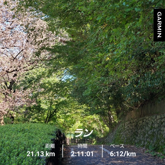 f:id:yon501xx:20210920174807j:image f:id:yon501xx:20210920174807j:image